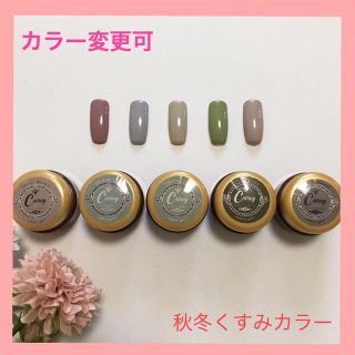 【カラー変更可】秋冬くすみカラージェル ジェルネイル(カラージェル)
