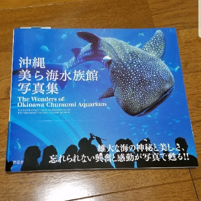 集英社(シュウエイシャ)の【送料込み】美ら海水族館写真集 エンタメ/ホビーの美術品/アンティーク(写真)の商品写真