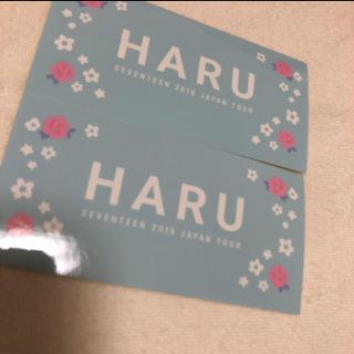 セブンティーン(SEVENTEEN)のSEVENTEEN  HARU  会場別ステッカー  大阪(K-POP/アジア)