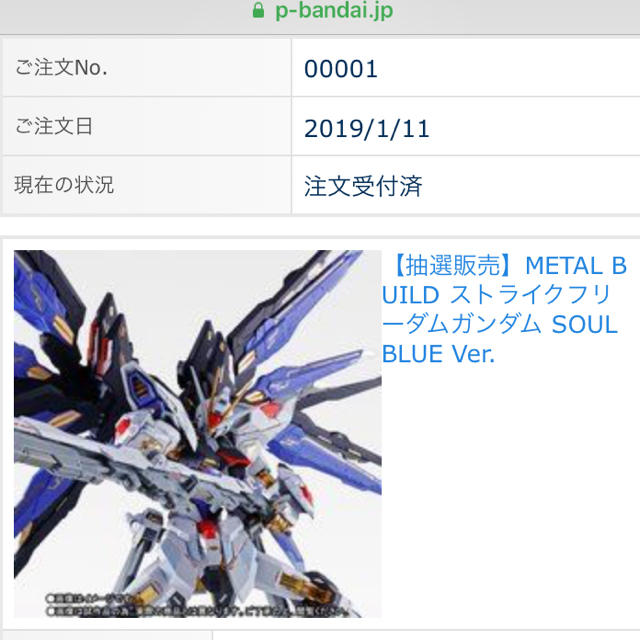 新品、本物、当店在庫だから安心 METAL BUILD ストライクフリーダム