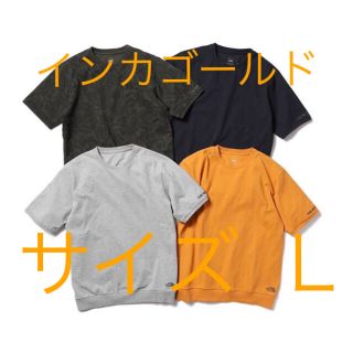 ザノースフェイス(THE NORTH FACE)のノースフェイス直営店限定 Heavy Cotton Logo Crew ゴールド(Tシャツ/カットソー(半袖/袖なし))