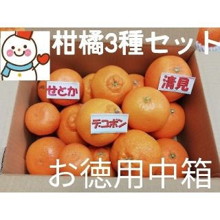 ③ 柑橘3種BOX ❗デコ＆せとか＆清見♥️美味しい味比べ(フルーツ)