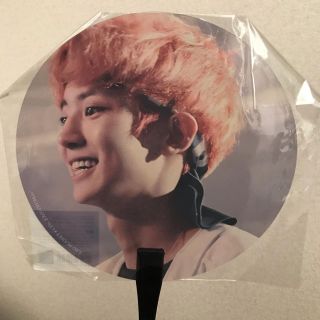 エクソ(EXO)のチャニョル うちわ(アイドルグッズ)