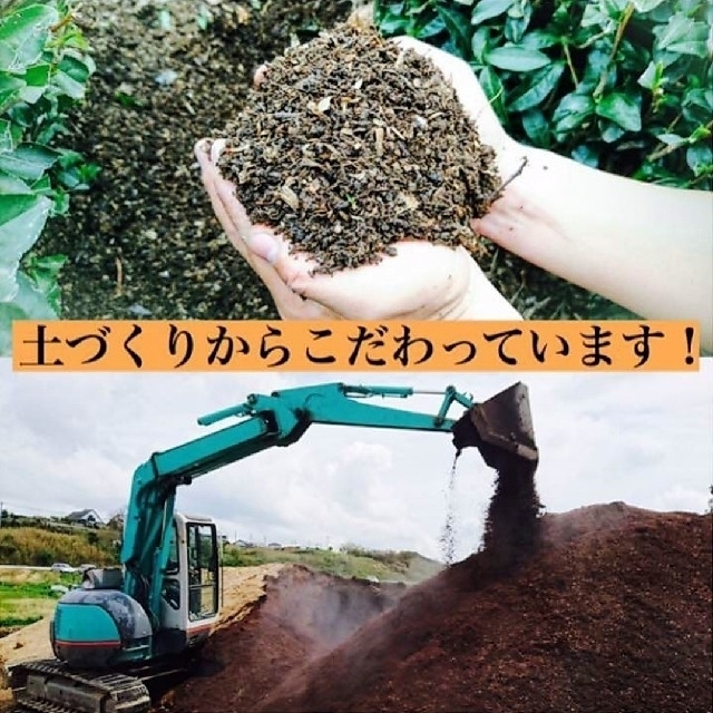 新茶できました！　特上煎茶(静岡産深蒸し茶)　上質な一番茶の新芽部分のみを採取 食品/飲料/酒の飲料(茶)の商品写真