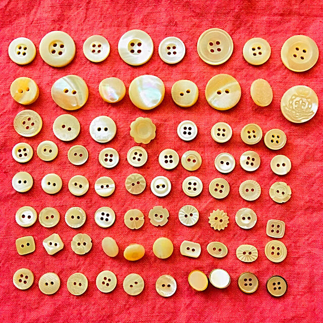 高瀬貝ボタン  74個 ハンドメイドの素材/材料(各種パーツ)の商品写真