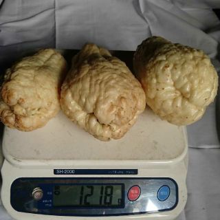 無農薬 ハヤトウリ 種 苗 3個の通販 By S S Shop ラクマ 無農薬 ハヤトウリ 種 苗 3個の通販 By S S Shop ラクマ