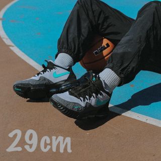 アトモス(atmos)のLEBRON XVI LOW AC 29cm アトモス レブロン エレファント(スニーカー)