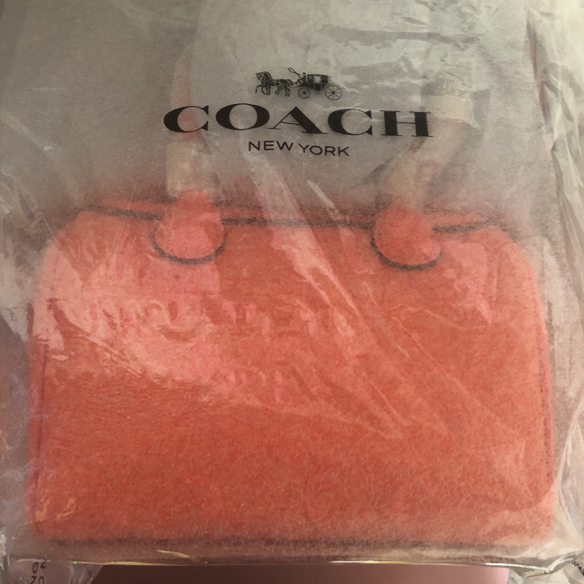COACH(コーチ)の新品未使用 2019新作 コーチ ショルダーバッグ レディースのバッグ(ショルダーバッグ)の商品写真