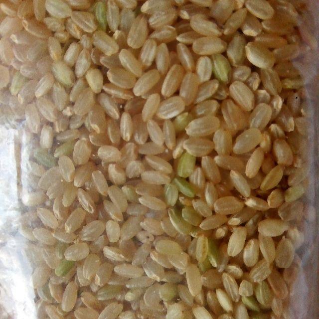 30年!山形県産(ササニシキ)玄米30kg!! 30年!山形県産(ササニシキ)玄米30kg!!