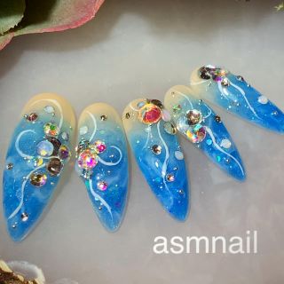 ネイルチップ ジェルネイル  asmnail