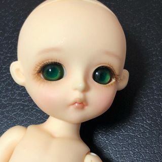 リナシュシュ LINA chouchou petit chou baby miu(その他)