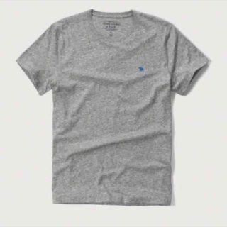 アバクロンビーアンドフィッチ(Abercrombie&Fitch)の★アバクロ★メンズTシャツ正規新品  Mサイズ グレー(Tシャツ/カットソー(半袖/袖なし))