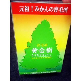 コイズミ(KOIZUMI)の黄金樹  ハニーブラシ🛍新品未使用(スカルプケア)