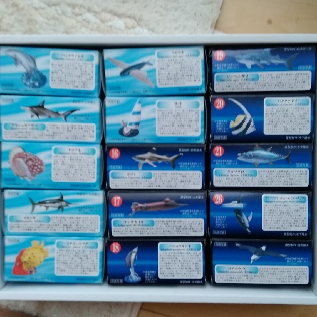 海洋堂(カイヨウドウ)のAQUATALES　黒潮の魚たち　16種 エンタメ/ホビーのフィギュア(その他)の商品写真