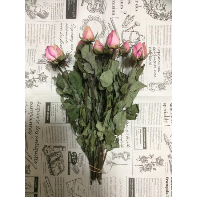 【ドライ】薄いピンク薔薇 ばら バラ 15本 30㎝  ハンドメイドのフラワー/ガーデン(ドライフラワー)の商品写真