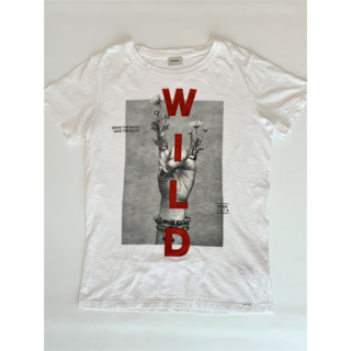 ディーゼル(DIESEL)のDiesel（ディーゼル）WILD リネンブレンド Ｔシャツ（ホワイト）(Tシャツ/カットソー(半袖/袖なし))