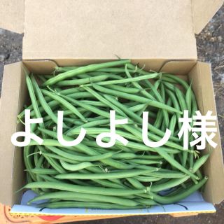 鹿児島産甘サヤインゲン箱込み500g^_^(野菜)