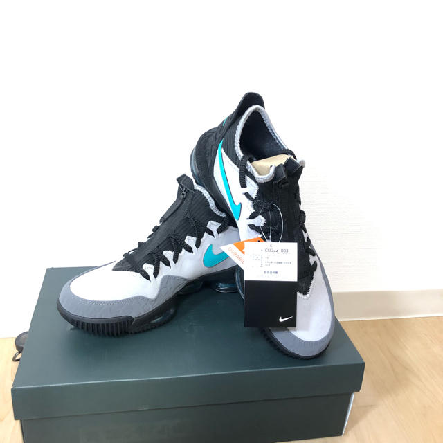 NIKE LEBRON XVI　28CM