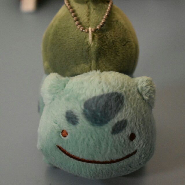 へんしんメタモン フシギダネの通販 By なかちゅ S Shop ラクマ へんしんメタモン フシギダネの通販 By なかちゅ S Shop ラクマ
