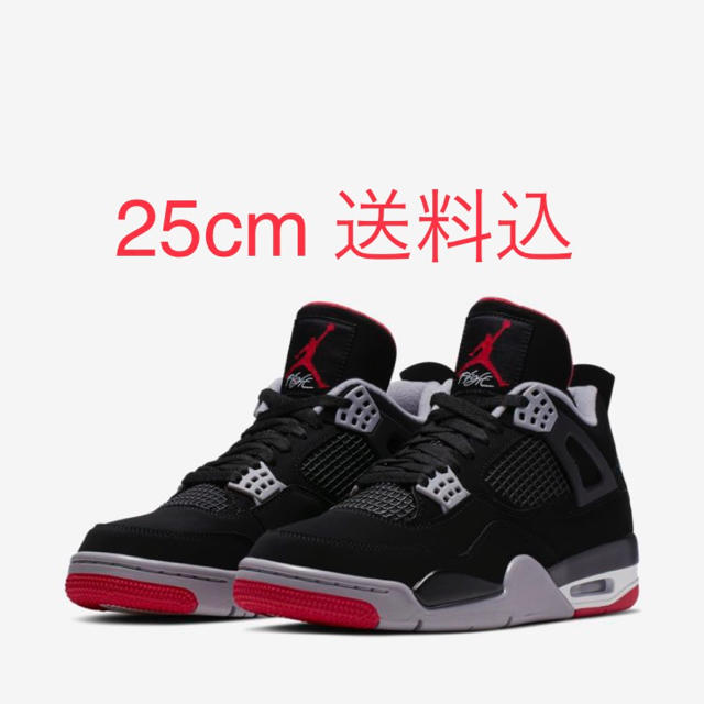 NIKE AIR JORDAN4 BRED 25cm