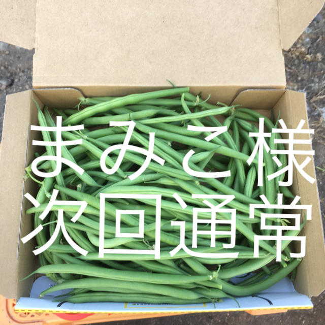 鹿児島産サヤインゲン箱込み500g^_^次回通常 食品/飲料/酒の食品(野菜)の商品写真