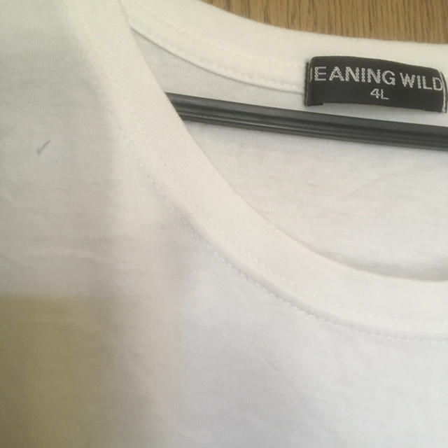 大きいサイズ レディース  白Tシャツ 4Ｌ レディースのトップス(Tシャツ(半袖/袖なし))の商品写真