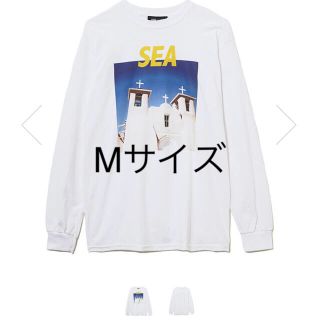 シュプリーム(Supreme)のWind and sea PHOTO SERIES LONG TEE Mサイズ(Tシャツ/カットソー(七分/長袖))