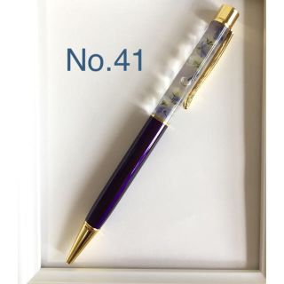 ハーバリウムボールペンNo.41とNo.45(その他)