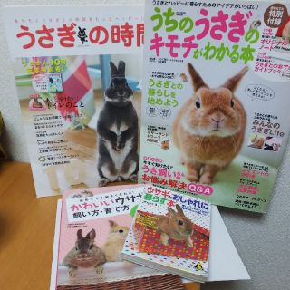 ガッケン(学研)のうさぎの時間 うちのうさぎのキモチがわかる本(小動物)