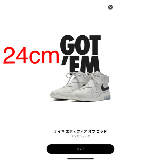 24cm NIKE AIR FEAR OF GOD RAID レイド