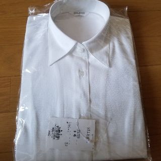レディースYシャツ・カッターシャツ(シャツ/ブラウス(長袖/七分))