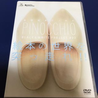 アミューズ 冒険絵本ピノキオ DVD(その他)