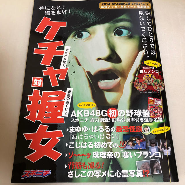 AKB48(エーケービーフォーティーエイト)のAKB48グループ夏公式パンフレット（封入特典込） エンタメ/ホビーのタレントグッズ(アイドルグッズ)の商品写真