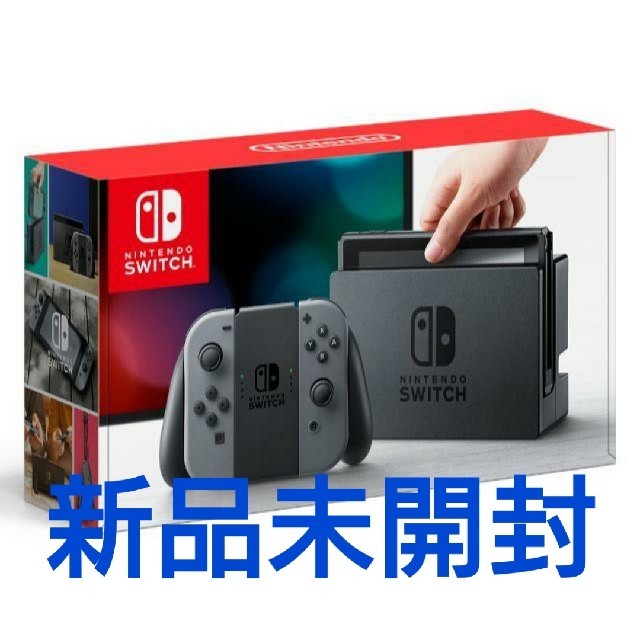 ニンテンドースイッチ Nintendo Switch グレー