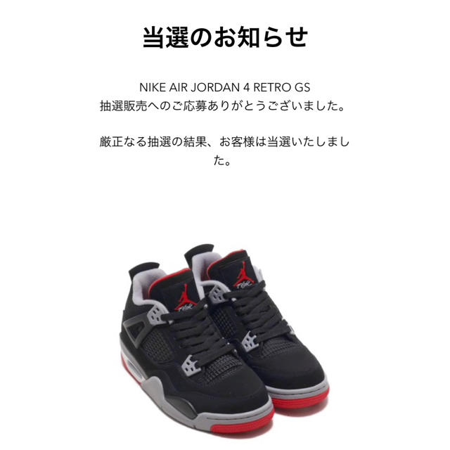 Nike AIR JORDAN 4 BRED GS 24㎝ aj4 ブレッド