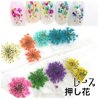 ネイル 押し花 レースドライフラワー 小花 セット(ネイル用品)