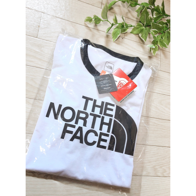 THE NORTH FACE(ザノースフェイス)の早い者勝ち【新品】ノースフェイス Tシャツ 完売商品 メンズのトップス(Tシャツ/カットソー(半袖/袖なし))の商品写真