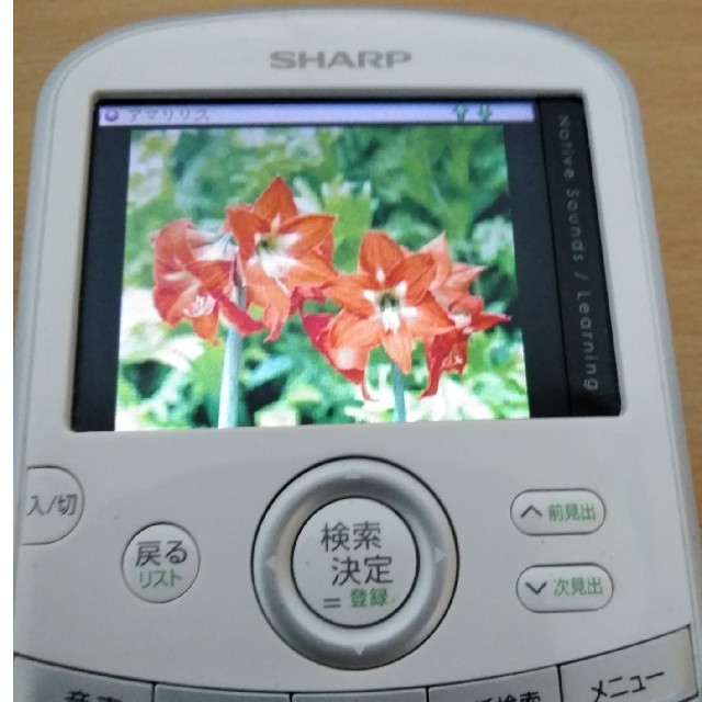 SHARP(シャープ)のカラー電子辞書 SHARP Brain PW-AC20 スマホ/家電/カメラのスマホ/家電/カメラ その他(その他)の商品写真