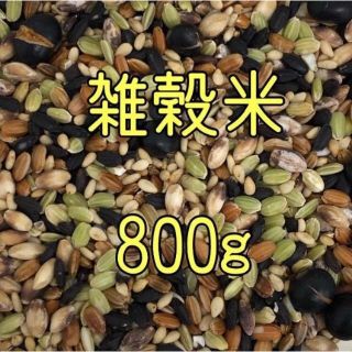 雑穀米　800ｇ　（400ｇ×2）(米/穀物)