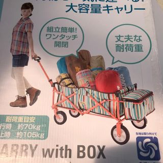 ロゴス(LOGOS)の値下げ ロゴス ストライプキャリーwith BOX ワゴン(その他)