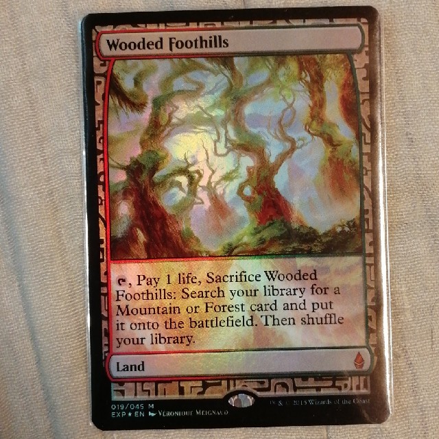 MTG 樹木茂る山麓 エクスペディション foil | www.mcmchedu.com