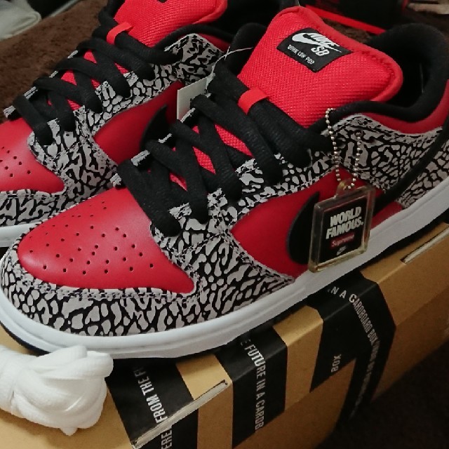 supreme NIKE dunk low premium sb