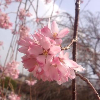 こちらです(^-^)(その他)