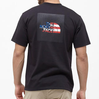ザノースフェイス(THE NORTH FACE)のTHE NORTH FACEナショナルフラッグロゴTシャツNT31943サイズL(Tシャツ/カットソー(半袖/袖なし))