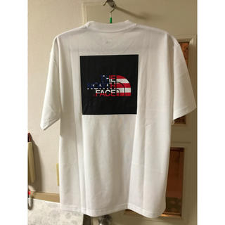 ザノースフェイス(THE NORTH FACE)のTHE NORTH FACEナショナルフラッグロゴTシャツNT31943サイズl(Tシャツ/カットソー(半袖/袖なし))