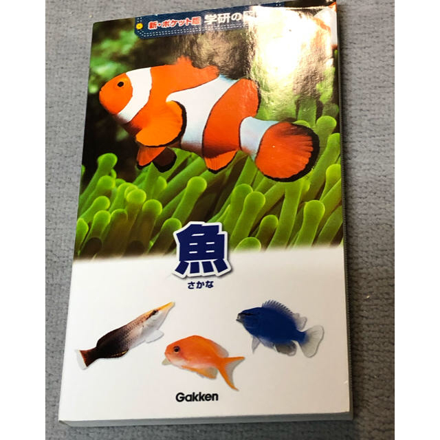 学研(ガッケン)のお値下げ中！ポケット図鑑 魚 学研 エンタメ/ホビーの本(その他)の商品写真