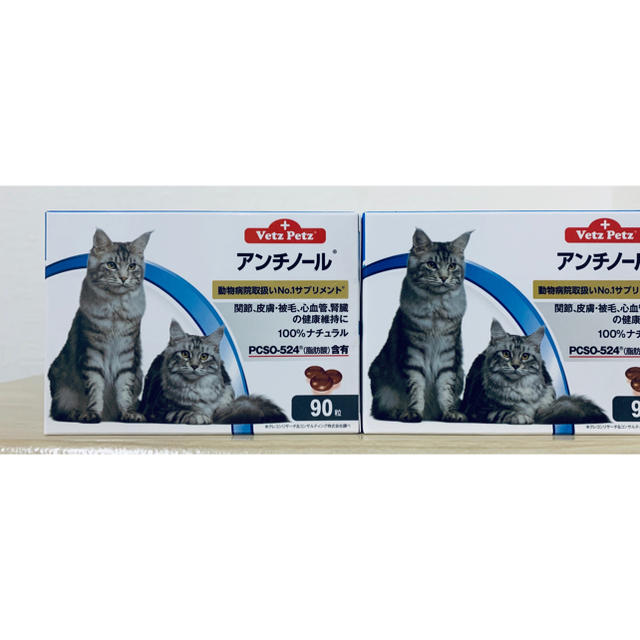 猫用 アンチノール Vetz90粒×2箱