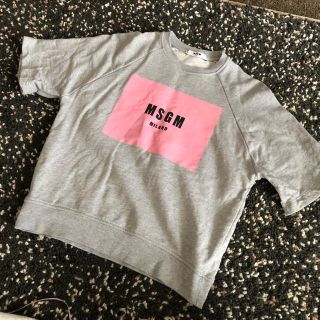 エムエスジイエム(MSGM)のMSGM(カットソー(半袖/袖なし))