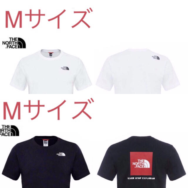 THE NORTH FACE(ザノースフェイス)のノースフェイスTシャツ ２着同梱版 メンズのトップス(Tシャツ/カットソー(半袖/袖なし))の商品写真