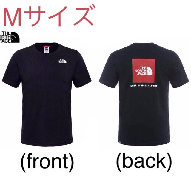 THE NORTH FACE(ザノースフェイス)のノースフェイスTシャツ ２着同梱版 メンズのトップス(Tシャツ/カットソー(半袖/袖なし))の商品写真
